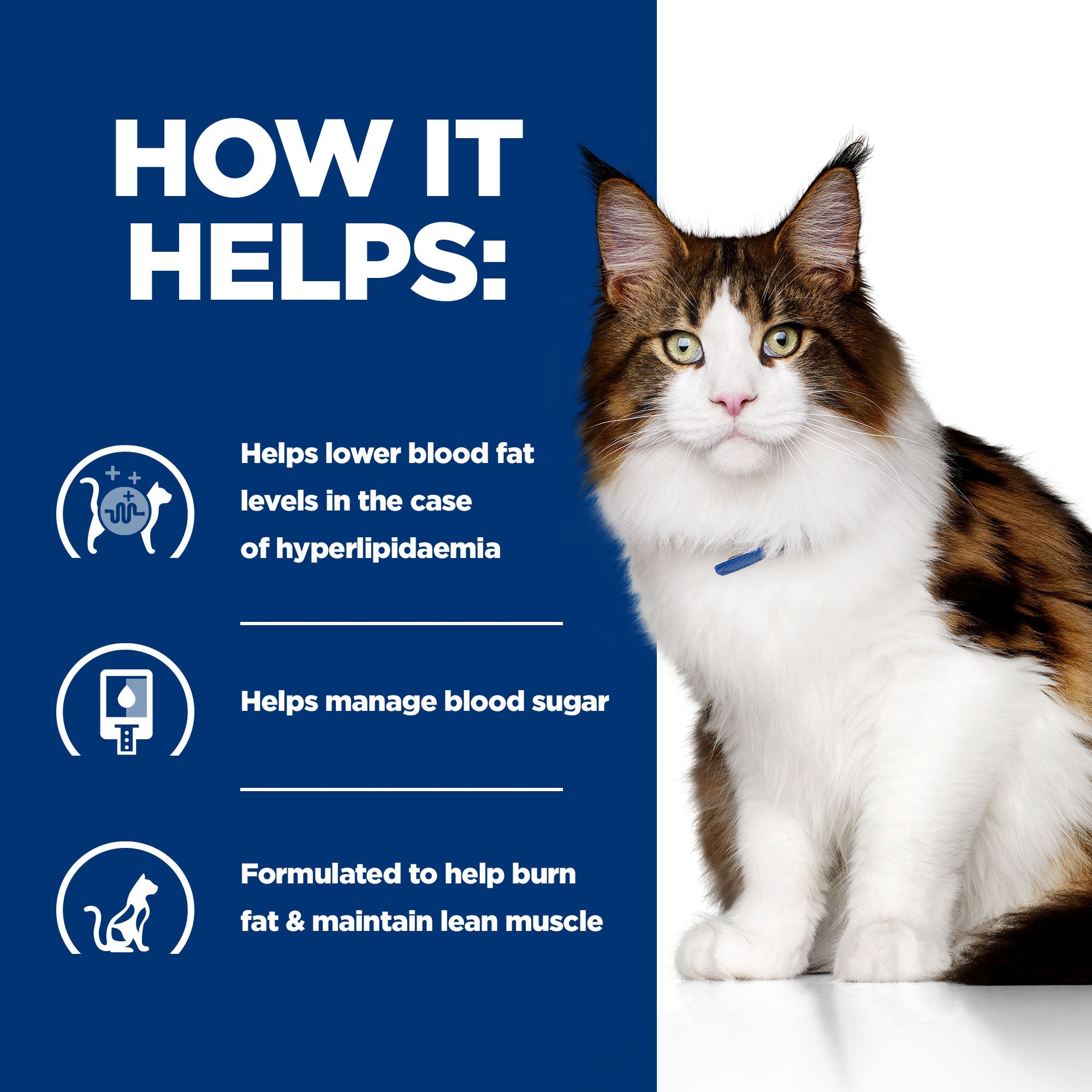 Hill’s Prescription Diet w/d Feline with Chicken (3kg)