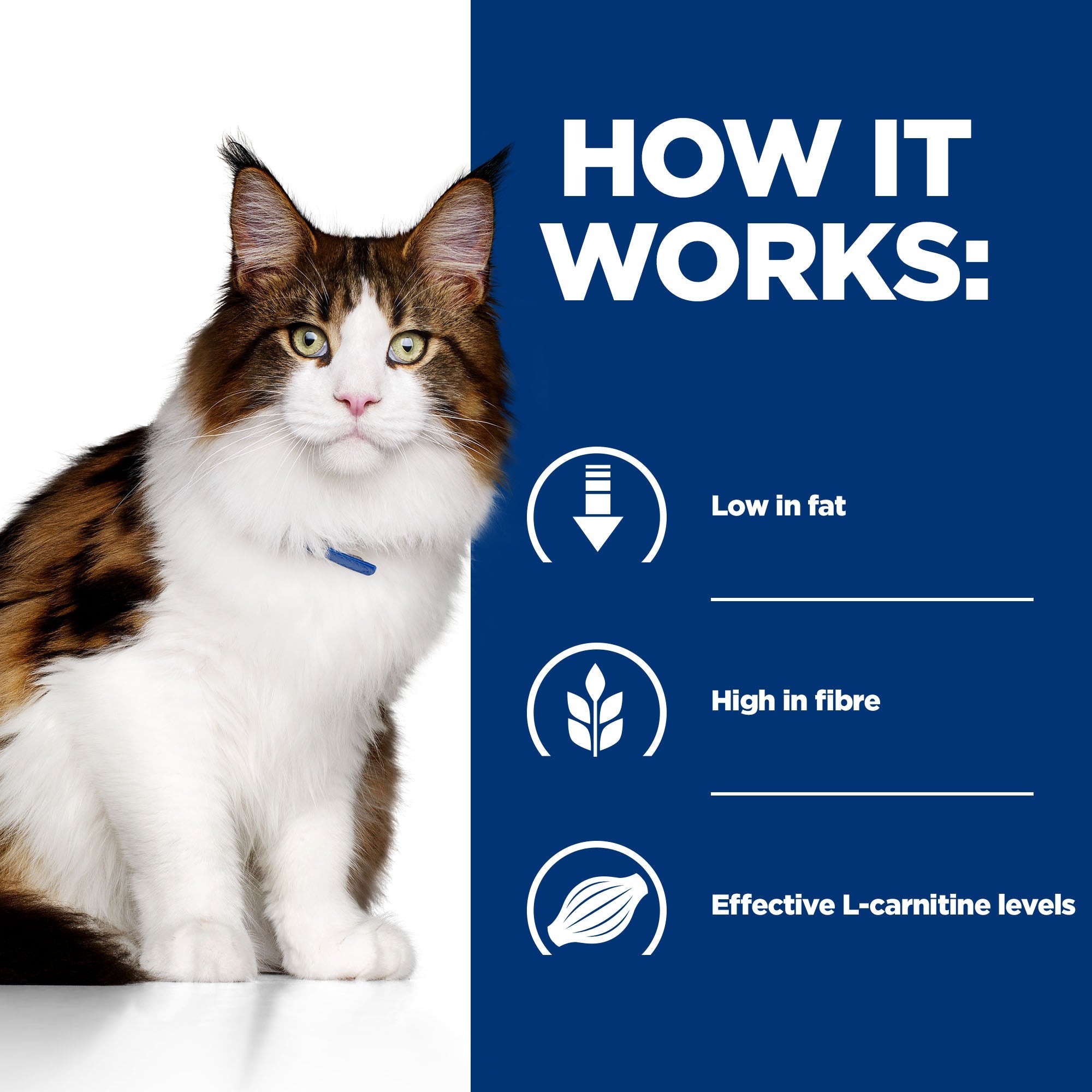 Hill’s Prescription Diet w/d Feline with Chicken (3kg)