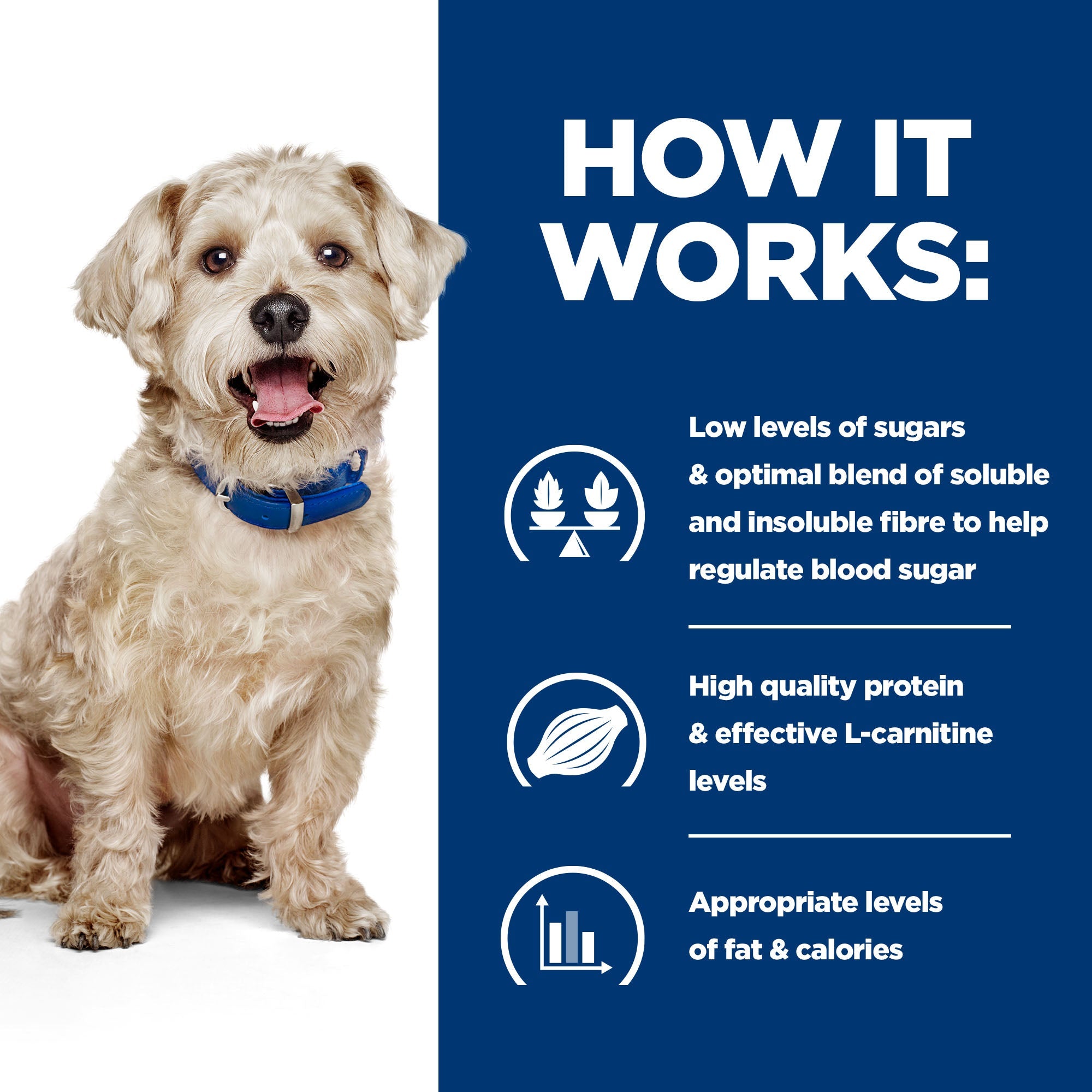 Hill’s Prescription Diet w/d Dog Food with Chicken (4kg)