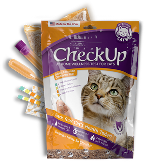 CheckUp Kit Cat