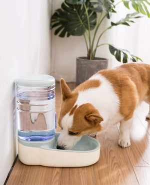 Pado Glossy Water Dispenser-Blue  3500ml