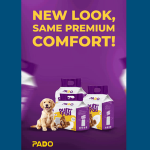 Pado Pet Pad - Advanced Layer Protection[Dimension - 60x90cm, Count - 40]
