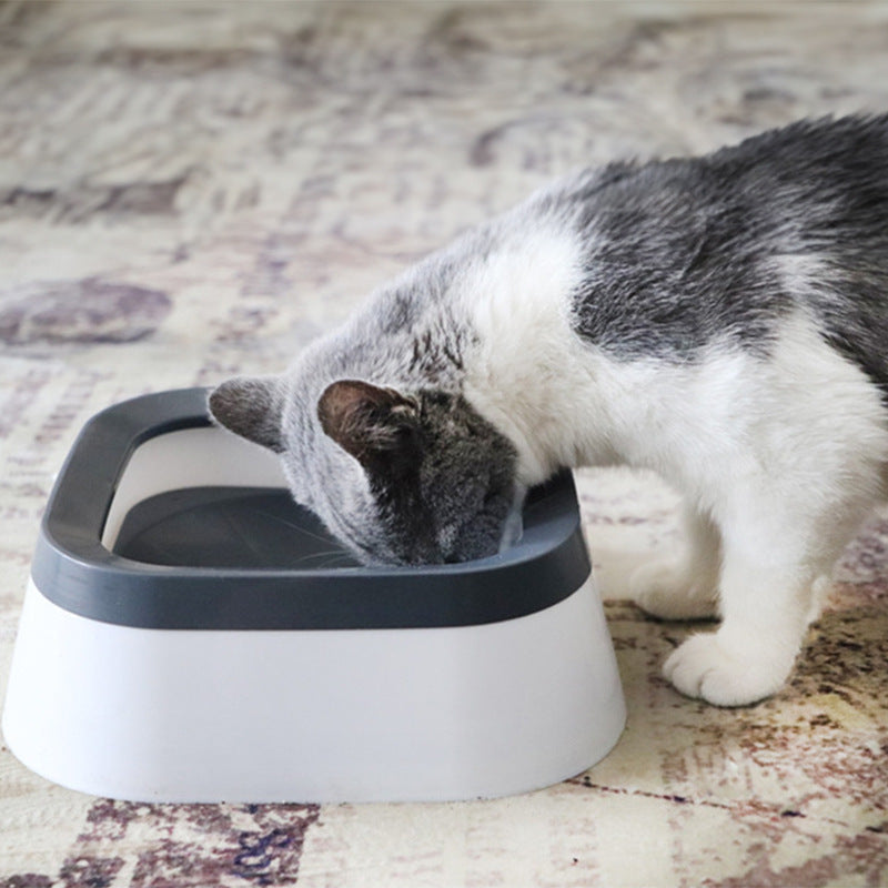 Pado Square Anti Spill Pet Bowl 21x21x7.8cm [1000ml] -Blue