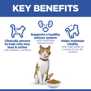 Hill’s Science Plan Sterilised Cat  Adult Cat Food With Salmon (10kg)
