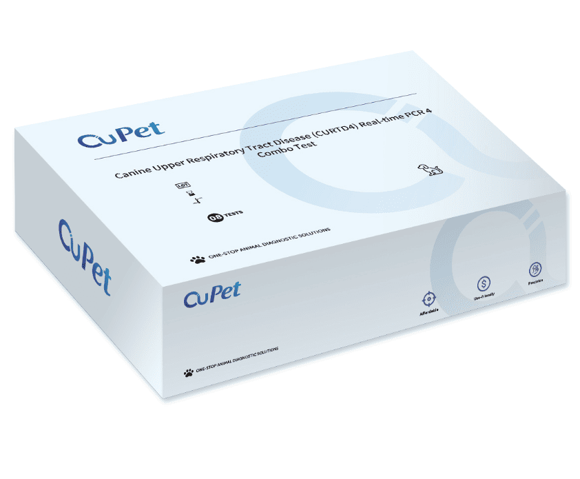 CANINE UPPER RESPIRATORY TRACT DISEASE (CURTD4) REAL-TIME