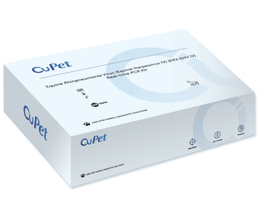 EQUINE RHINPNEUMONIA VIRUS (EQUINE HERPESVIRUS IV)REAL-TIME