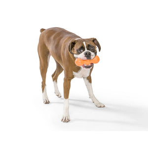 Rumpus Chew Toy - medium - aqua