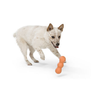 Rumpus Chew Toy - small - aqua