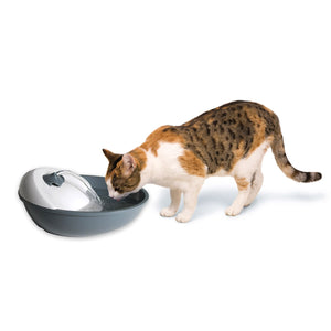 Serenity Plastic Drinking Water Fountain 1.8 L