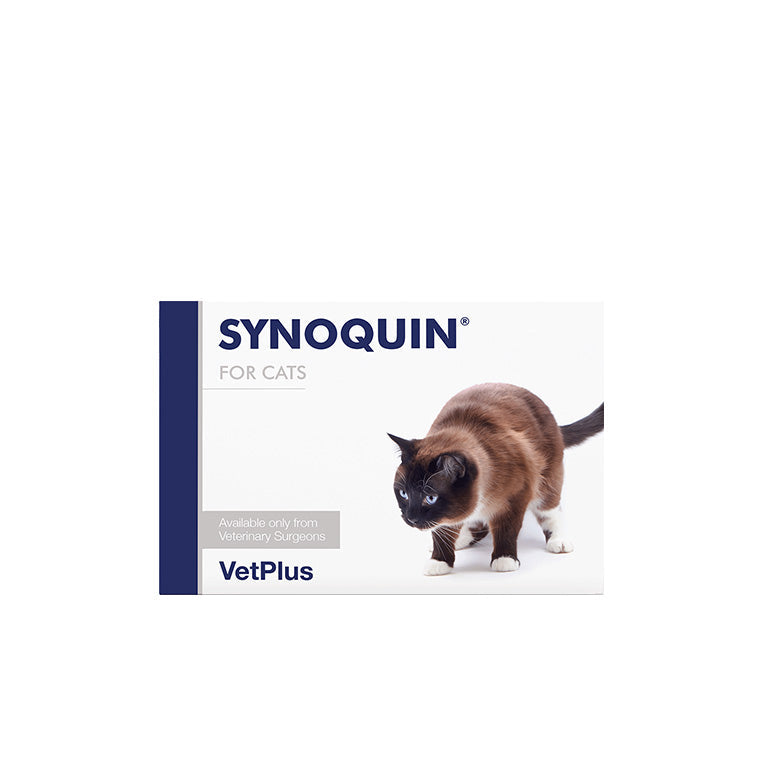 Synoquin Cat Capsule