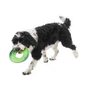 Sailz Seaflex Frisbee Disc Dog Toy - large - hibiscus