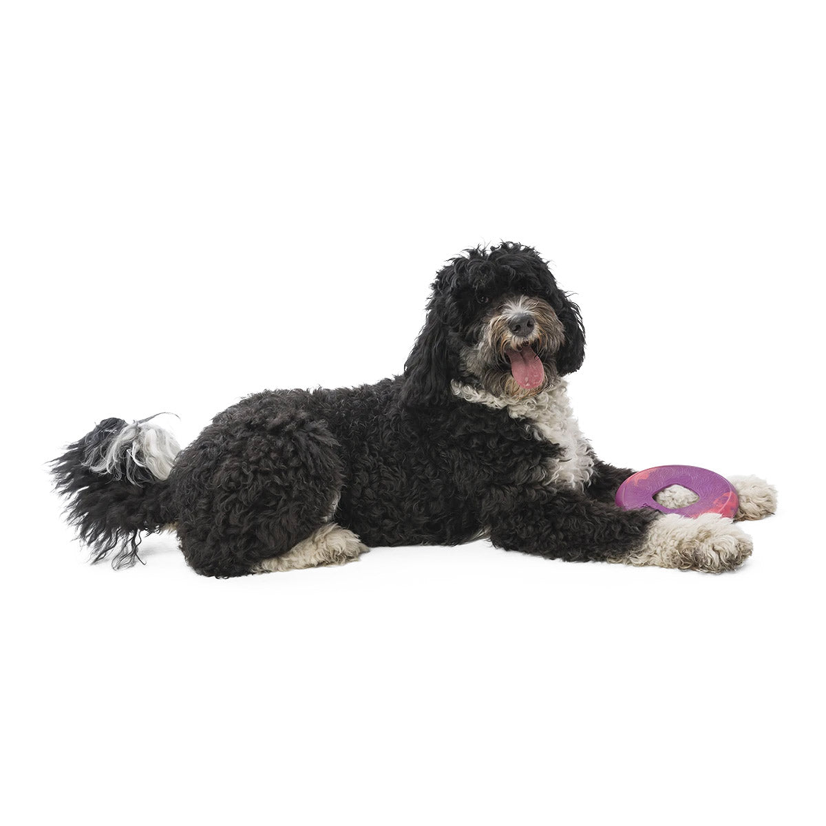 Sailz Seaflex Frisbee Disc Dog Toy - large - hibiscus