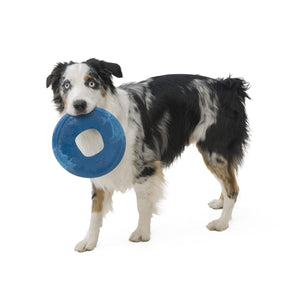 Sailz Seaflex Frisbee Disc Dog Toy - large - emerald