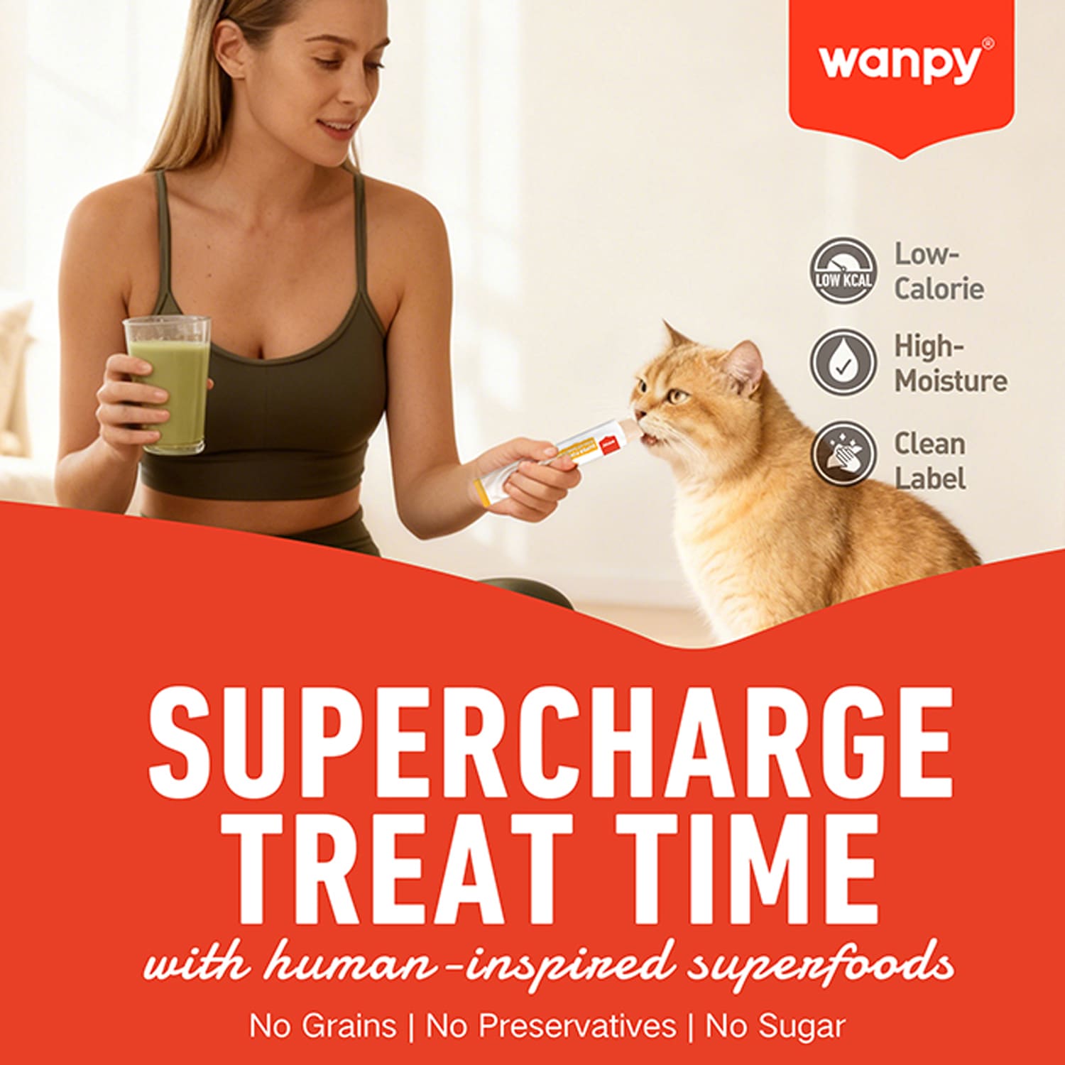 WANPY Superfoods Creamy Treat For Cat Salmon With Chia & Seaweed 70g
