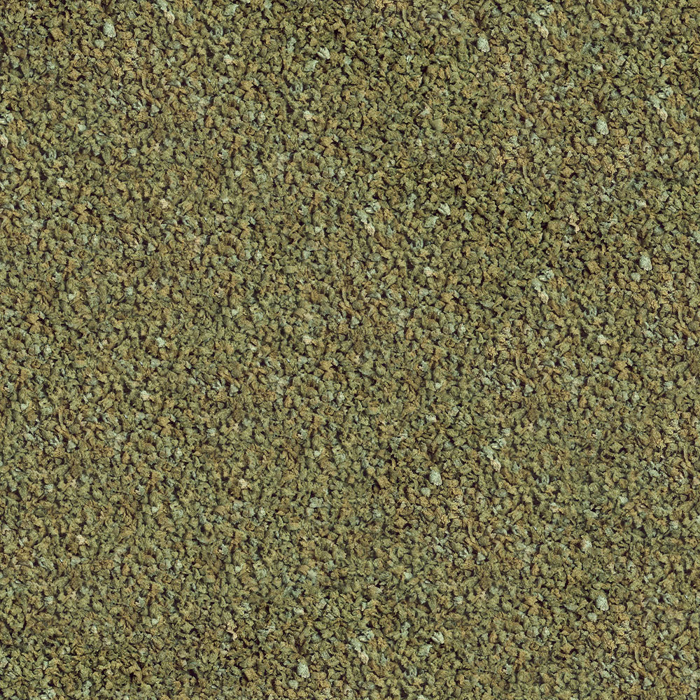 Sera Guppy Granules 100ml