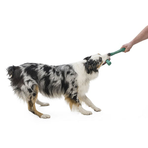 Snorkl Seaflex Dog Toy - large - emerald
