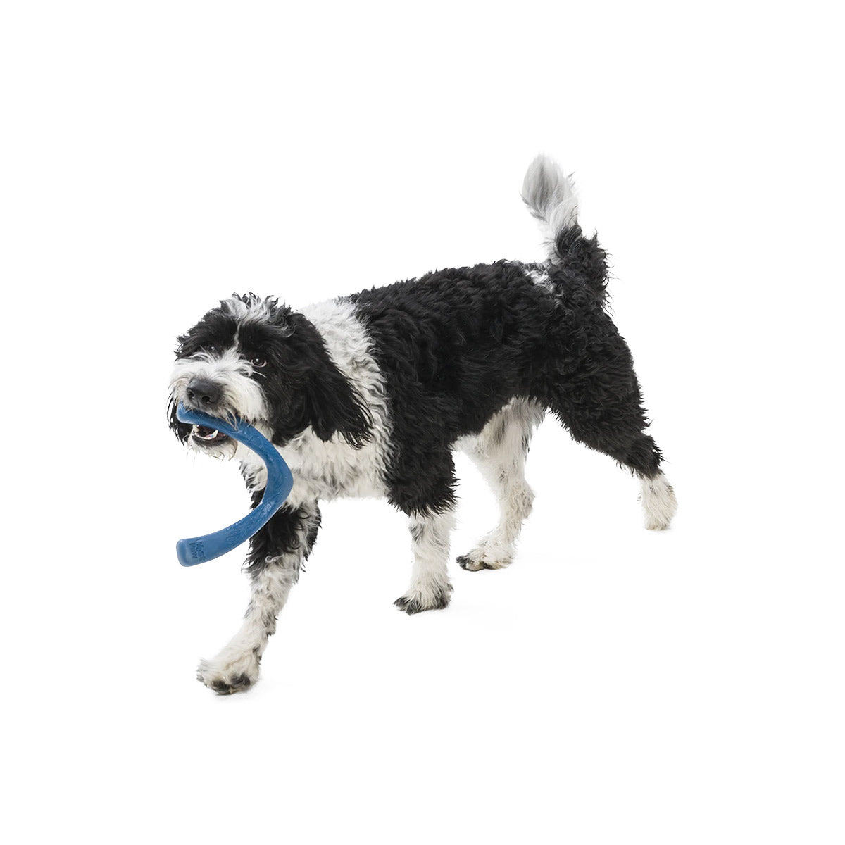 Snorkl Seaflex Dog Toy - large - surf