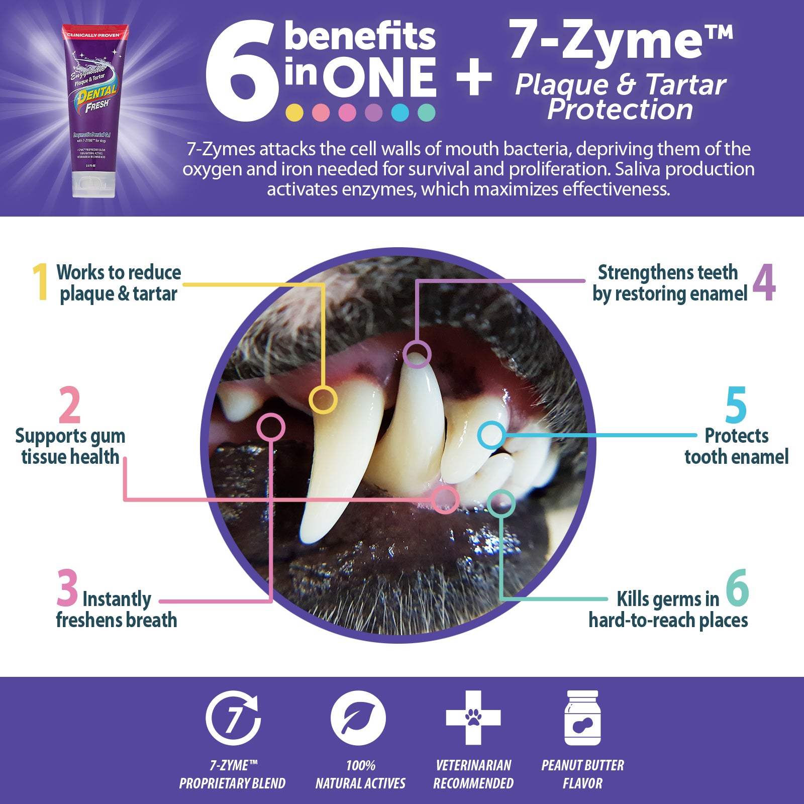 Synergy Labs Dental Fresh Enzymatic Plaque & Tartar Dental Gel with Triflex Brush 2.5 oz - 70.87 g