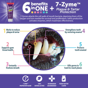 Synergy Labs Dental Fresh Enzymatic Plaque & Tartar Dental Gel with Triflex Brush 2.5 oz - 70.87 g