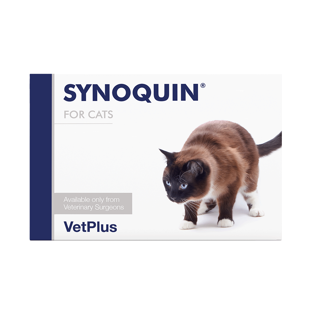 Synoquin Cat Capsule