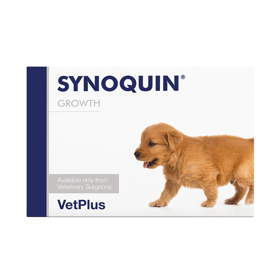 Synoquin Growth