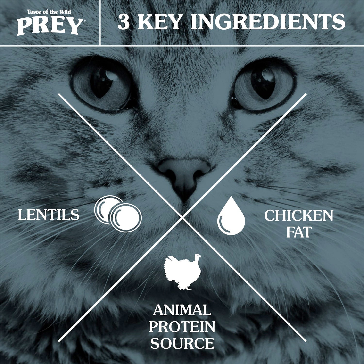 PREY Angus Beef Limited Ingredient Formula for Cats - 2.7kg (6 lbs)