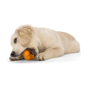 Tux Treat Toy - large - tangerine