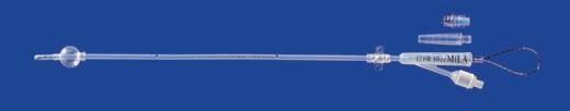FOLEY CATHETER WITH WIRE - 12FR X 12 INCH (30CM)