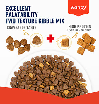 WANPY Grain Free Complete Food For Dog – Salmon Recipe - 12Kg