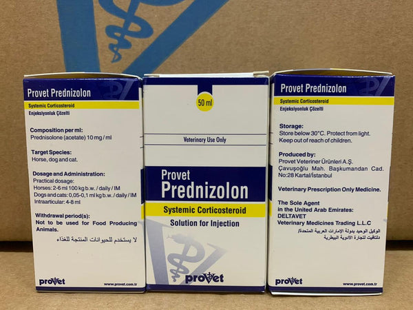 Prednizolon 100 ml