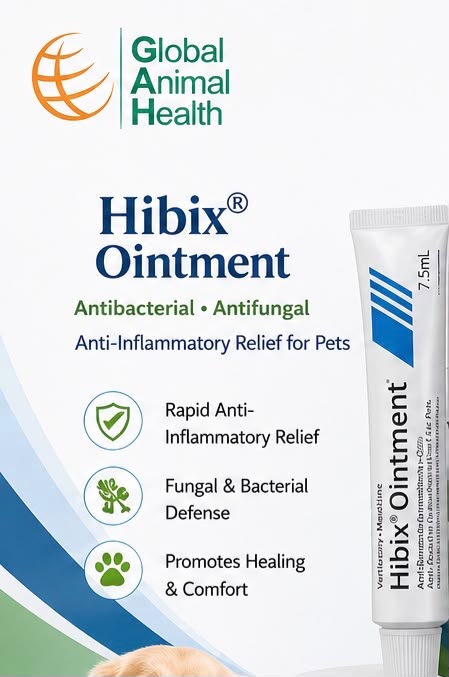 Hibix® Ointment 7.5ml (Fradiomycin, Nystatin, thiostrepton, trimecalone)
