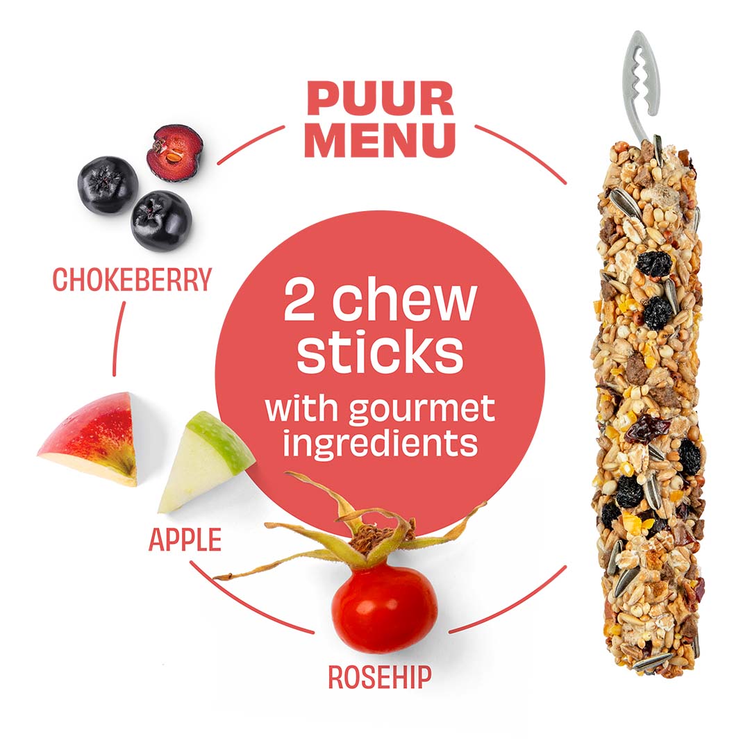 Witte Molen Chew Sticks With Apple & Chokeberry For Rabbit & Small Animals - [Weight - 100g]