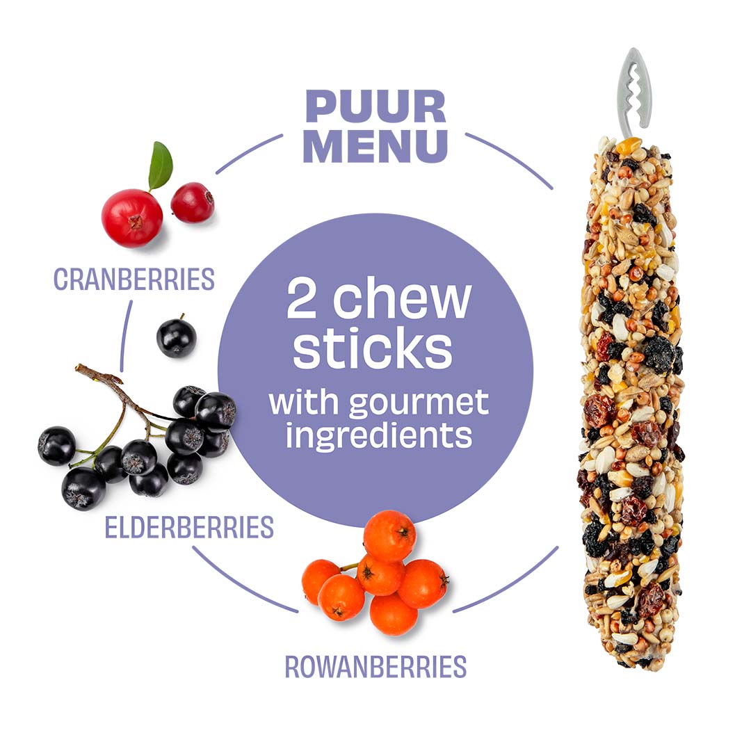 Witte Molen Chew Sticks With Cranberry & Elderberry For Rabbit & Small Animals - [Weight - 90g]