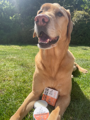 Dogslife Itch Relief Skin Balm 60ml - 60ML