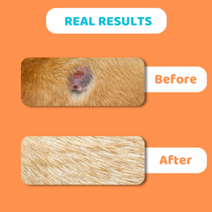 Dogslife Itch Relief Skin Balm 60ml - 60ML