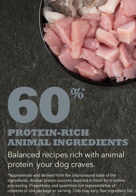 Acana Adult Small Breed Recipe Dry Dog Food - 2kg - Shopivet.com