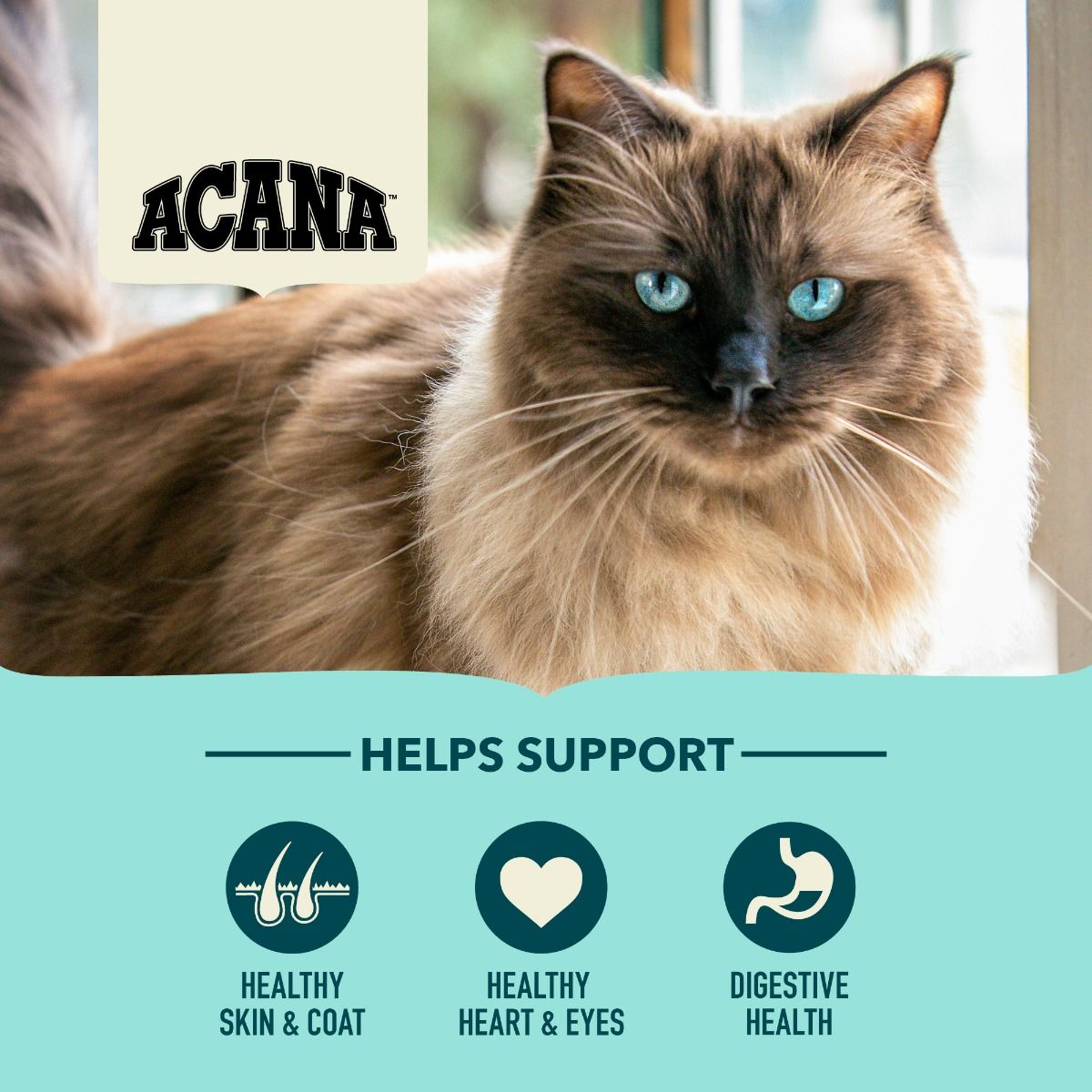 Acana Bountiful Catch Wild - Caught Salmon Herring & Hake Adult Dry Cat Food - 1.8kg - Shopivet.com