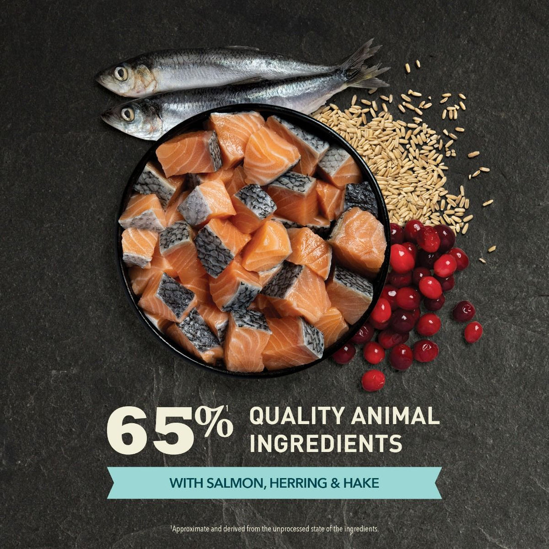 Acana Bountiful Catch Wild - Caught Salmon Herring & Hake Adult Dry Cat Food - 4.5kg - Shopivet.com