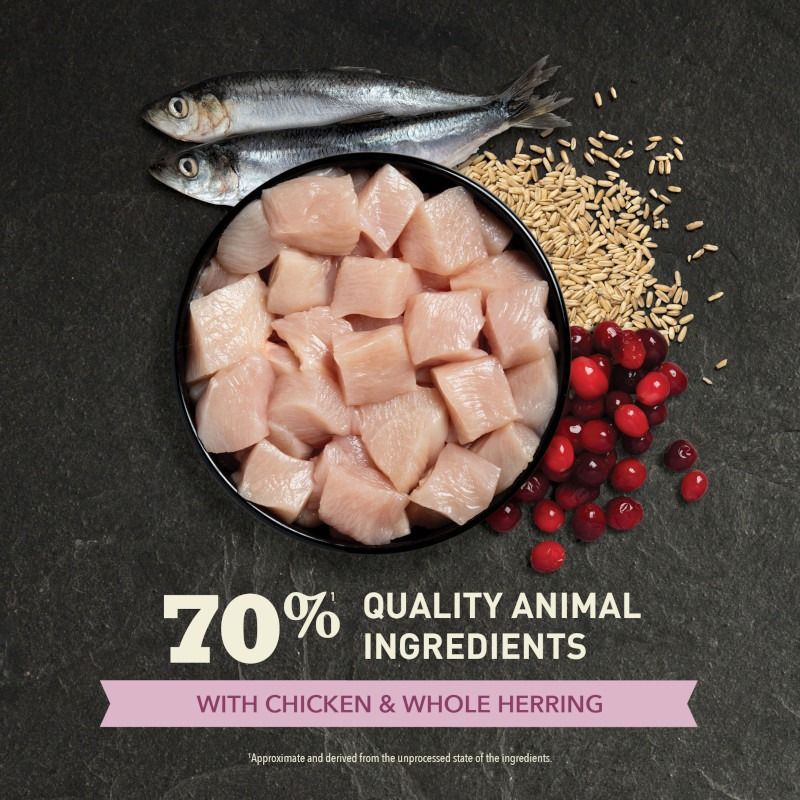 Acana Chicken with Herring First Feast Kitten Dry Cat Food 1.8kg - 1.8kg - Shopivet.com
