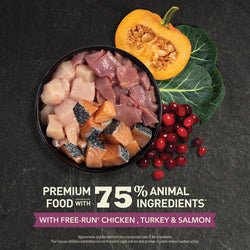 Acana Highest Protein Grain - Free Complete Kitten Dry Food 1.8kg - 1.8kg - Shopivet.com