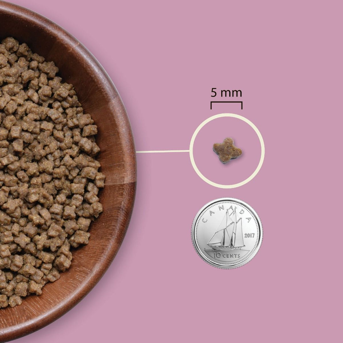 Acana Highest Protein Grain - Free Complete Kitten Dry Food 1.8kg - 1.8kg - Shopivet.com