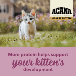 Acana Highest Protein Grain - Free Complete Kitten Dry Food 1.8kg - 1.8kg - Shopivet.com