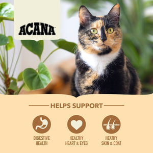 Acana Homestead Harvest Free - Run Chicken & Turkey Adult Dry Cat Food - 4.5kg - Shopivet.com