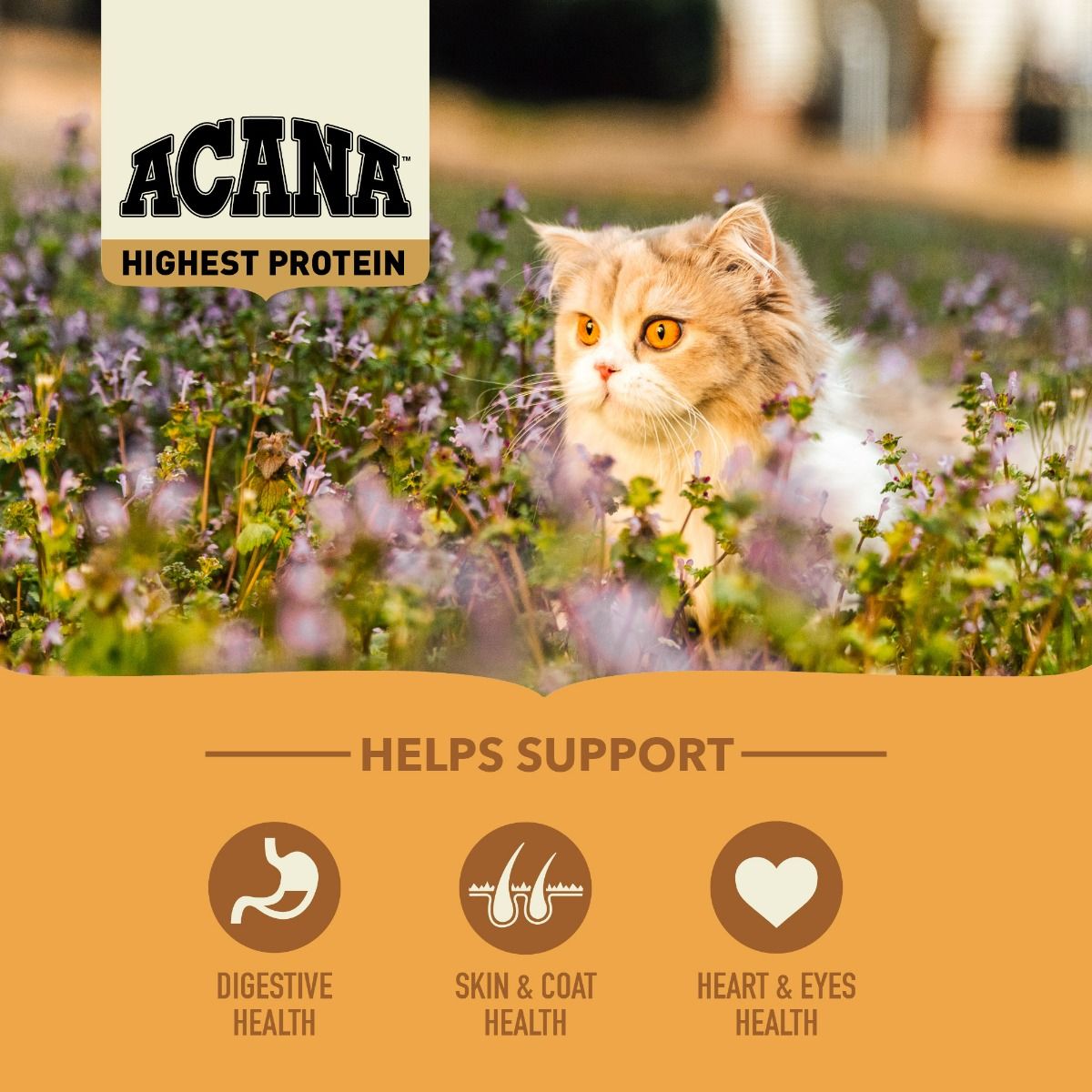Acana Wild Prairie Free - Run Poultry Wild - Caught Fish All Life Stages Dry Cat Food - 1.8kg - Shopivet.com