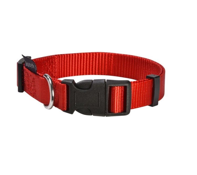 Access Collar / Medium - Shopivet.com