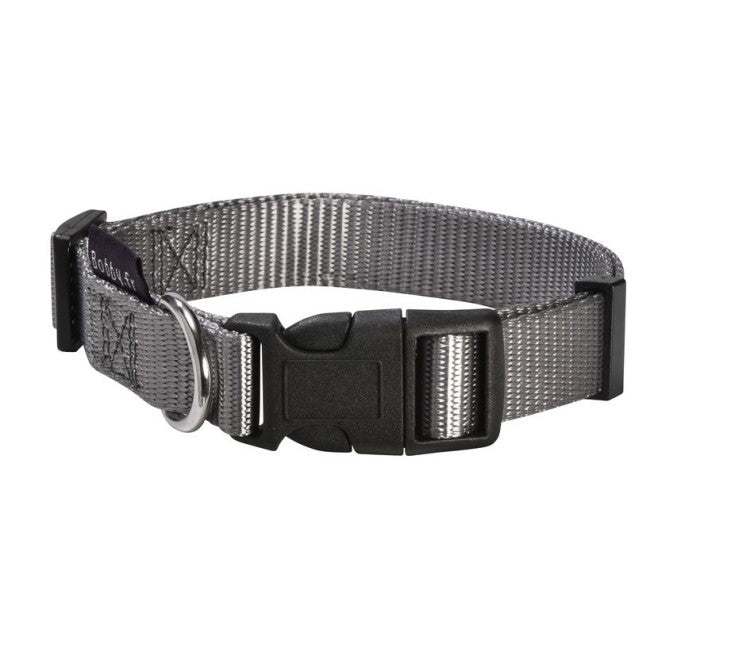 Access Collar / Medium - Shopivet.com