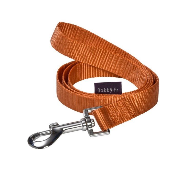 Access Leash / XS - Shopivet.com