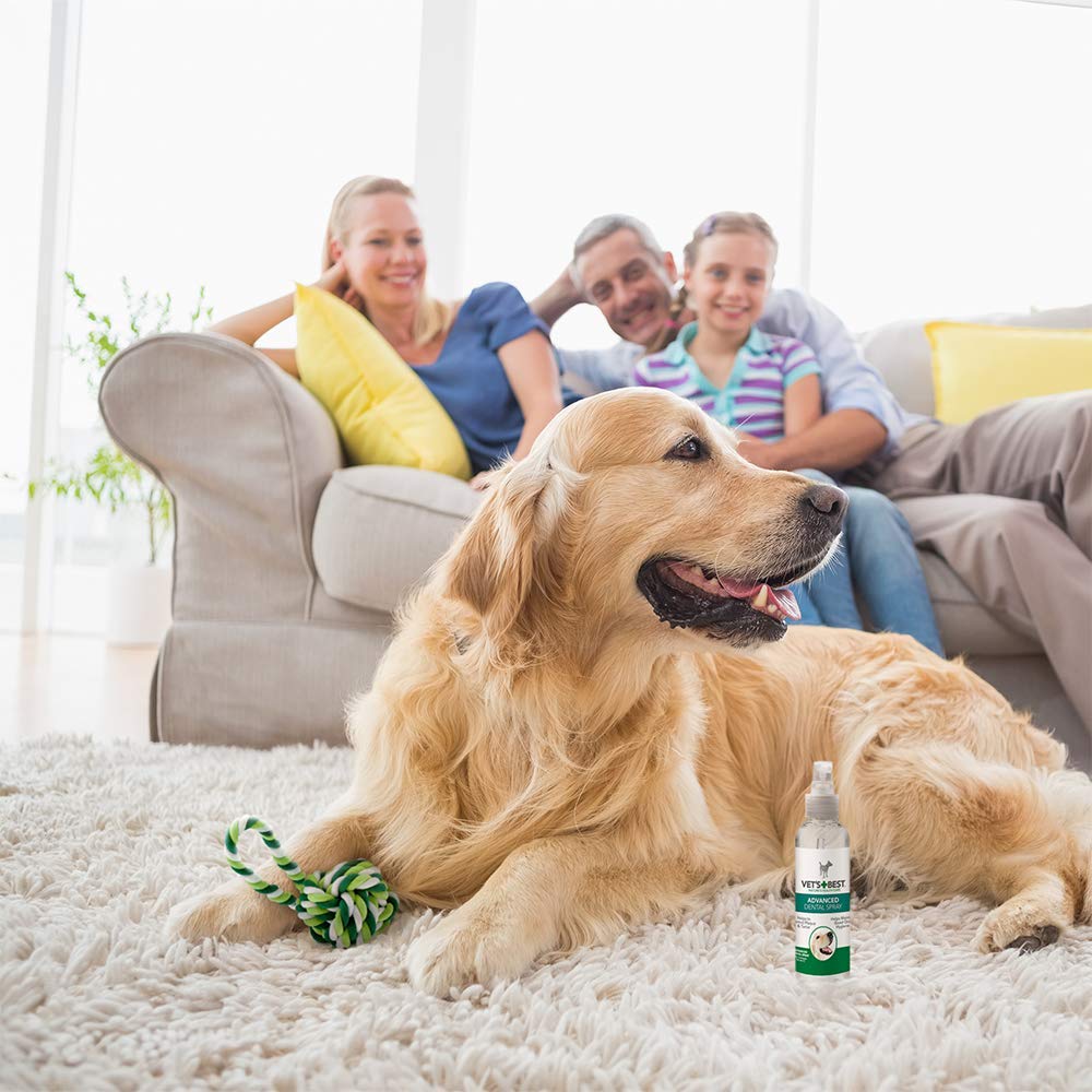 Advanced Dental Spray & Floss Ball for Dogs 120ml - Shopivet.com