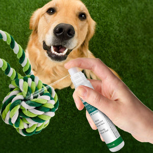 Advanced Dental Spray & Floss Ball for Dogs 120ml - Shopivet.com