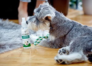 Advanced Dental Spray With Peppermint and Aloe Vera 14ml - Shopivet.com